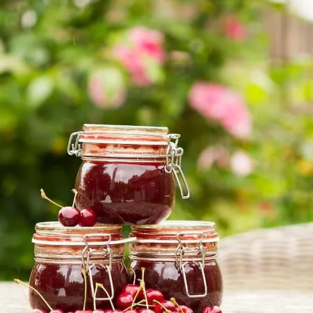 팜스테이 Logies Angelbeeck 아페덴