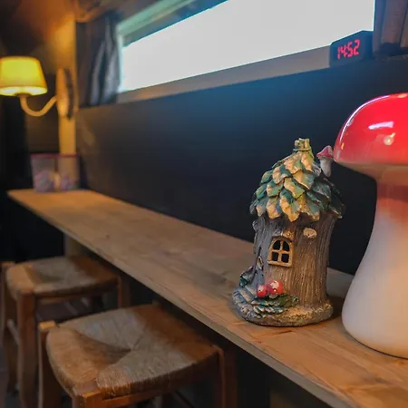 Logies Angelbeeck 팜스테이