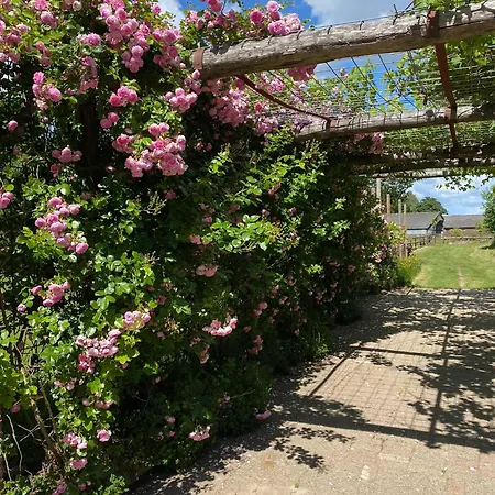 Angelbeeck B&B