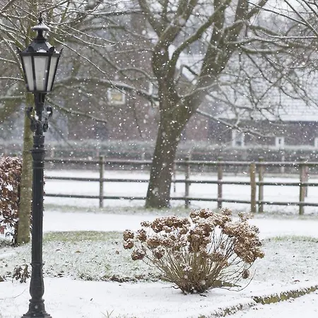 팜스테이 Logies Angelbeeck