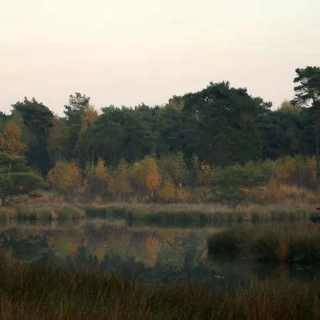 Vakantieboerderij Angelbeeck