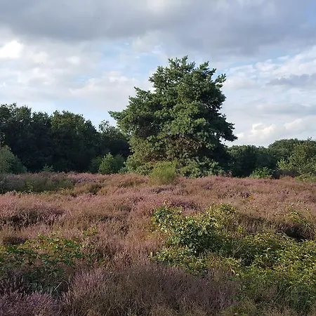 Vakantieboerderij Angelbeeck *
