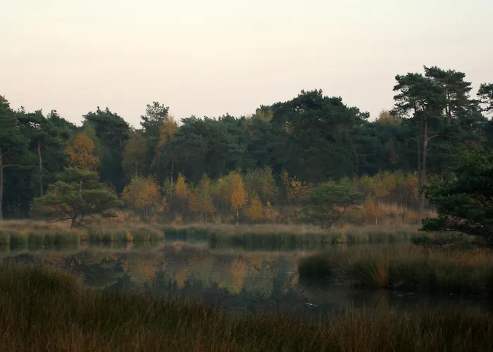 Vakantieboerderij Logies Angelbeeck