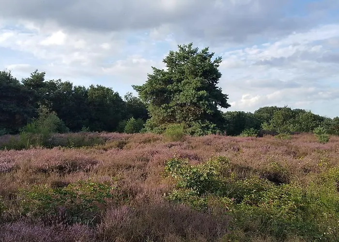 Vakantieboerderij Logies Angelbeeck *