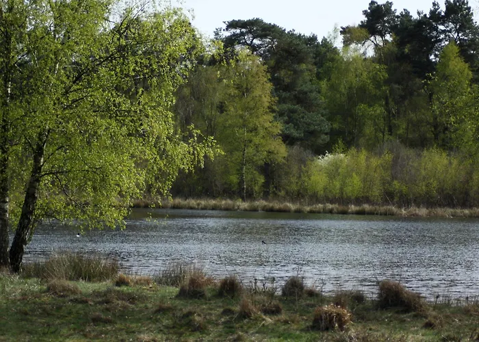 Logies Angelbeeck * アッフェルデン